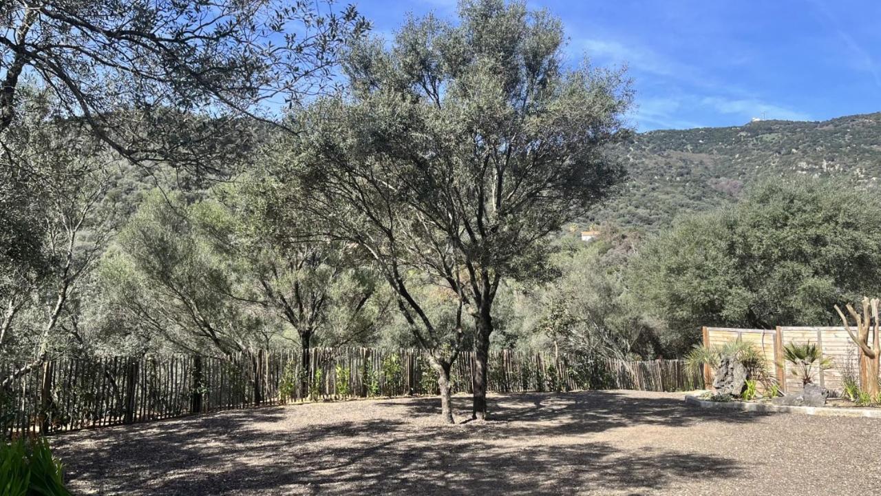 Apartamento N7 Maison T2 Climatise Avec Jacuzzi Prive Ajaccio (Corsica)
